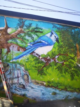 murales gatineau ottawa murals